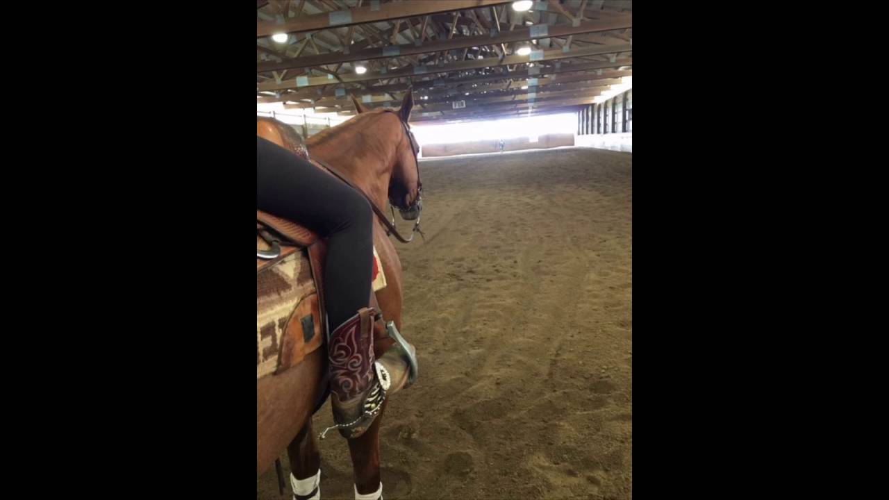 These two Grace and Whiz 2016