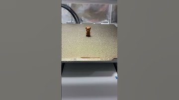 3d printing a duck every time i gain a subscriber