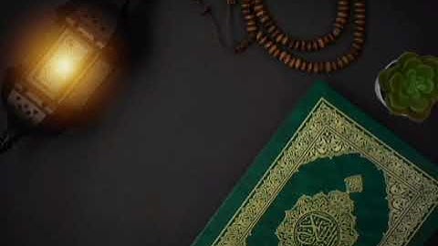 سورة يوسف: القارئ داود حمزة