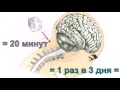 Омоложение Организма Всего Одним Движением  Точка Фэн Фу