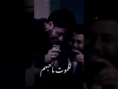 صورني وانه اضحك سيد فاد الموسوي لمتنه حلوه