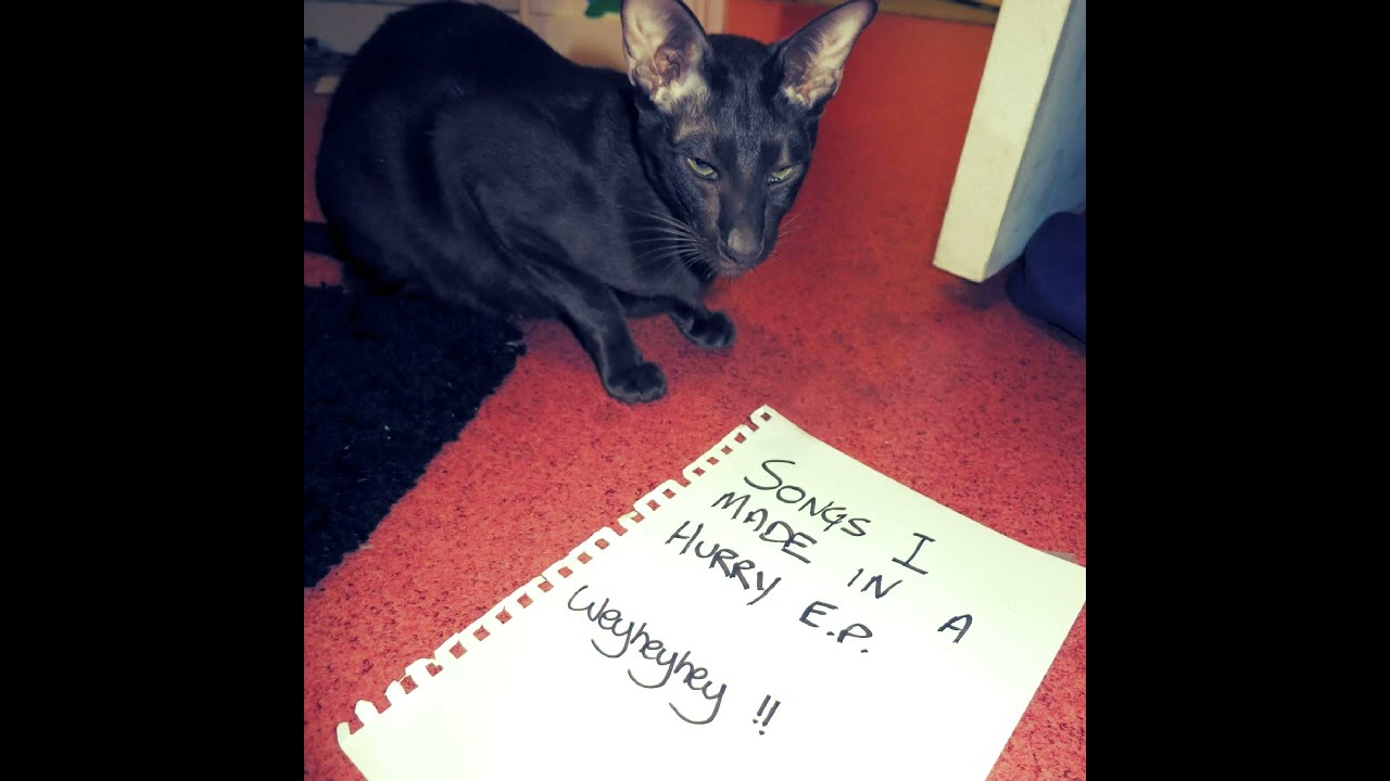 weyheyhey !! - Songs I Made In A Hurry EP [FULL ALBUM] (2013)