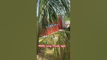 Long Phước tpbr. 30m mặt tiền đường nhựa thông góc hai mặt tiền đường #bbds