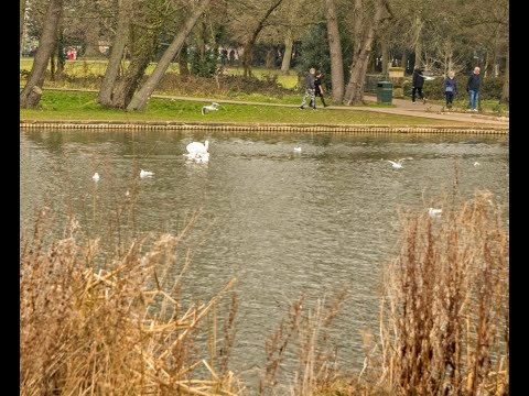 Travel back in Time to Jolly Boating Weather in Boultham Park Lincoln