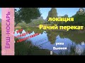 Русская рыбалка 4 - река Вьюнок - Ёрш-носарь и другие редкие рыбки