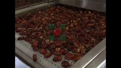 dates processing line/dates drying machine/dates washing storing production line machinery