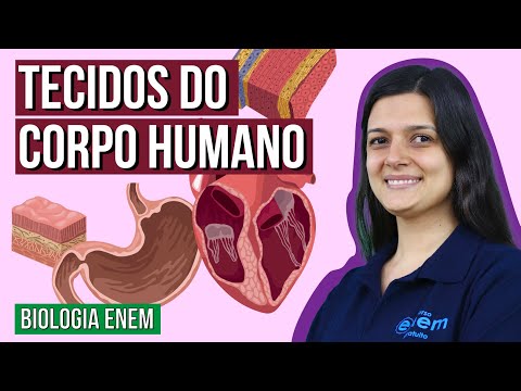 Vídeo: Como as células se unem para formar os tecidos?