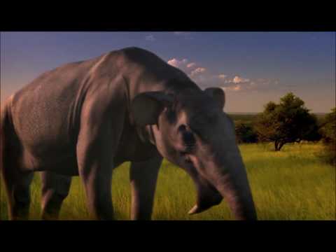 Walking with Beasts - Deinotherium ( All Scenes)