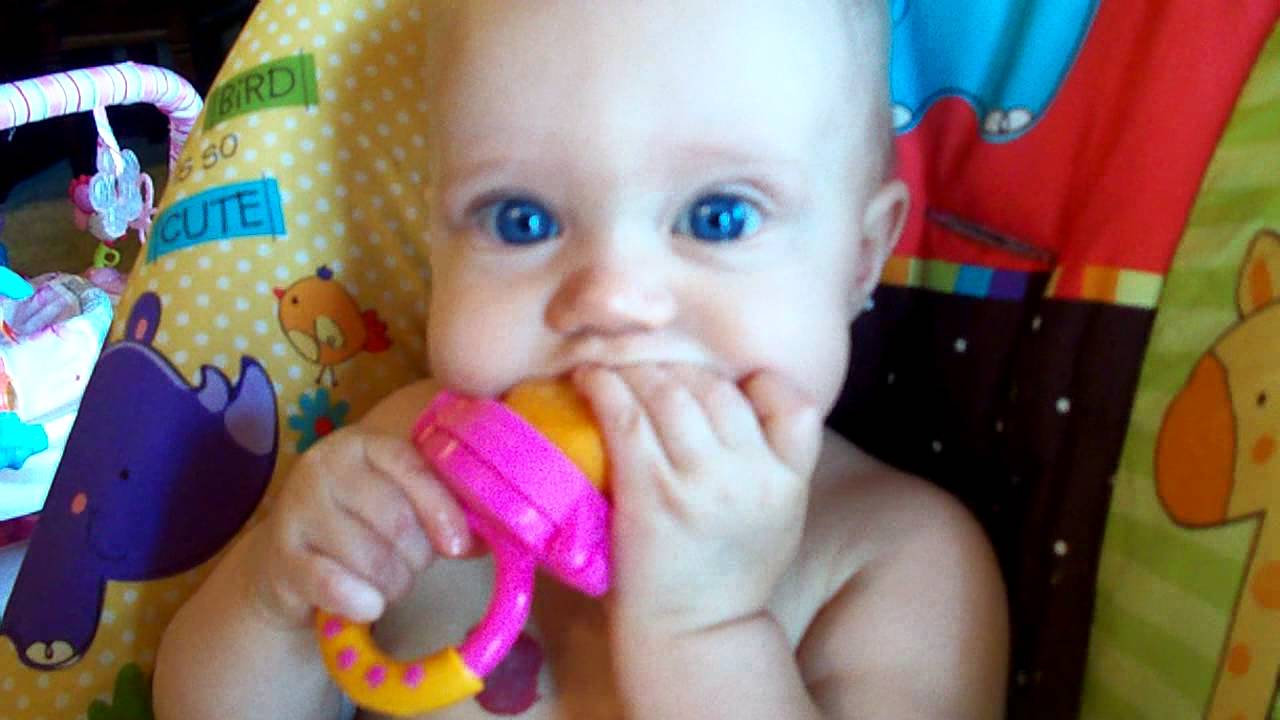 Munchkin Fresh Food Feeder Youtube