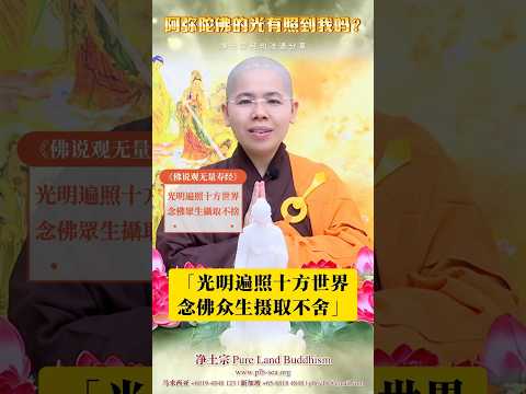 阿弥陀佛的光有照到我吗？ | 净平法师 开示 | 净土宗经句法语分享[11]
