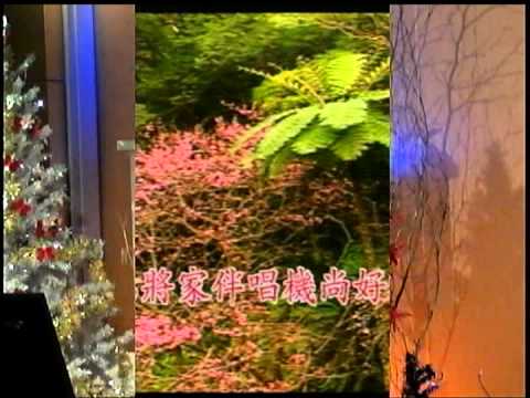 陳桓斌~嫁不對人.mpg