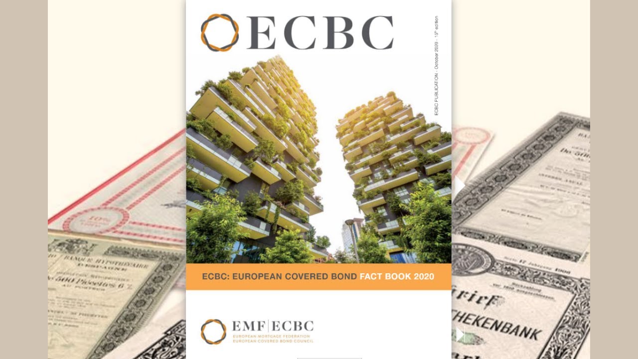 ECBC Fact Book 2020 Virtual Publication Event - 28 October 2020