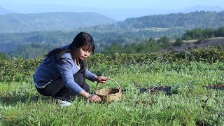 【二米炊烟】Qingming cuisine 山顶的野草，做成叶儿粑粑，是童年最美味的食物