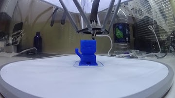 Production Tiko3d Slic3r Test Print - Cali Cat