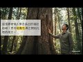 命運的隱藏邏輯：為什麼「相」只排第七？