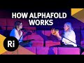 Ri on AI: Understanding AlphaFold – with Dame Janet Thornton