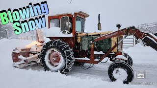 Blowing Snow with a 3-Point Snow Blower on a Case 830 Tractor/Digging Out from Another Snowstorm!