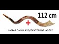 Shofar de Antílope com Ondulações / Ondulado e Polido 112 cm