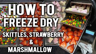 HOW TO FREEZE DRY SKITTLES, STRAWBERRIES & MARSHMALLOWS!