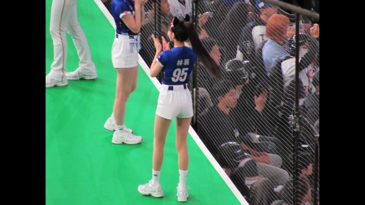 2026 WBC 28 卡洛琳 キャロリン 応援 80cm両面ロングクッション 【公式