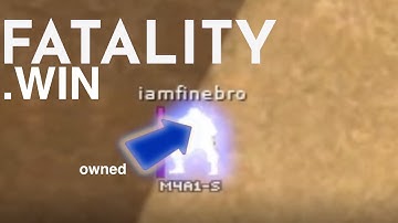 Punishing Cheaters and Racists (ft.Fatality.win, BlockBot Lua and Diktor)