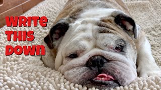 Reuben the Bulldog: 3 Lessons