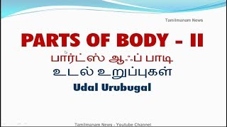 Vocabulary About Parts Of Body Including Tamil Meaning Part 2 Youtube
