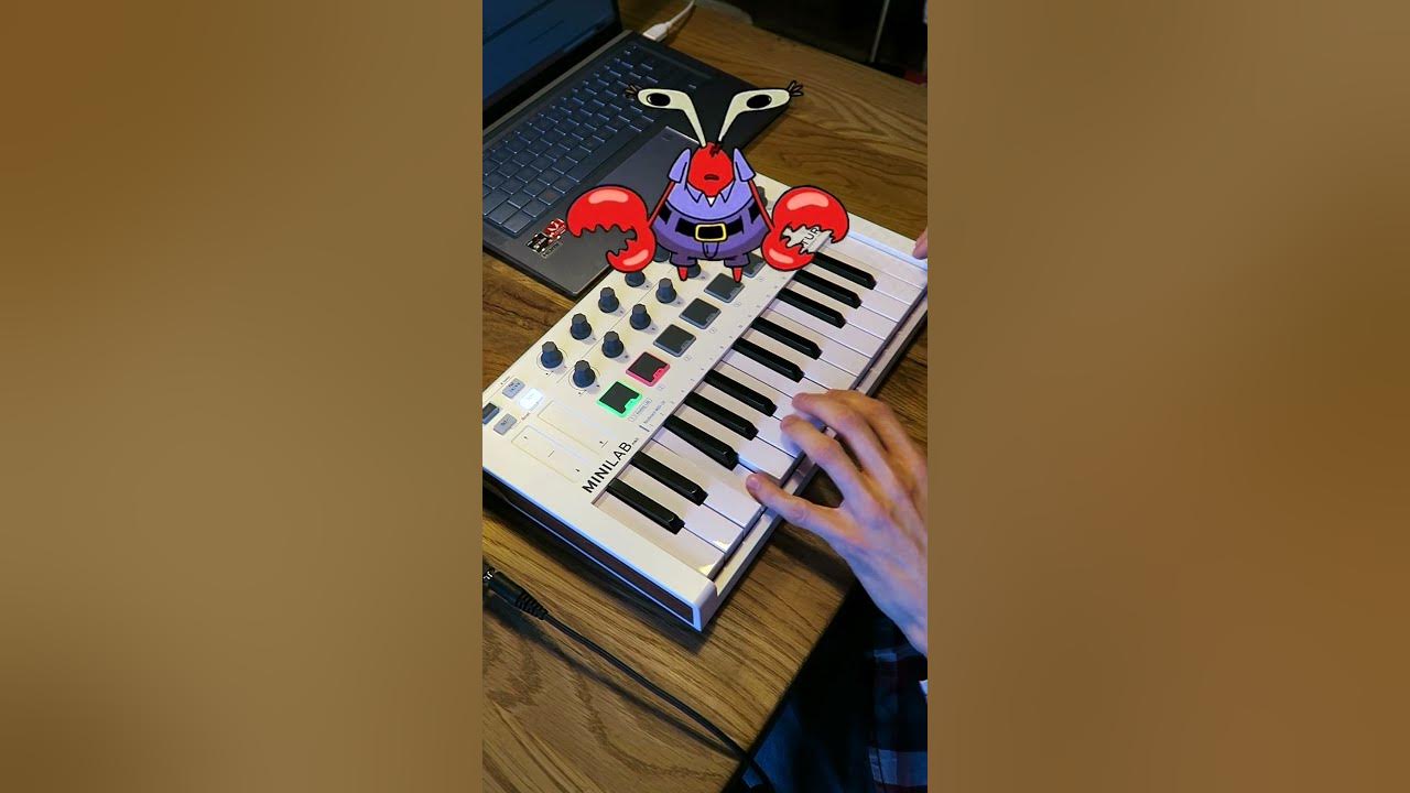 Beep Boo-Boo Bop l Mr. Krabs Robot Electric Zoo l Spongebob Squarepants #ableton #livelooping
