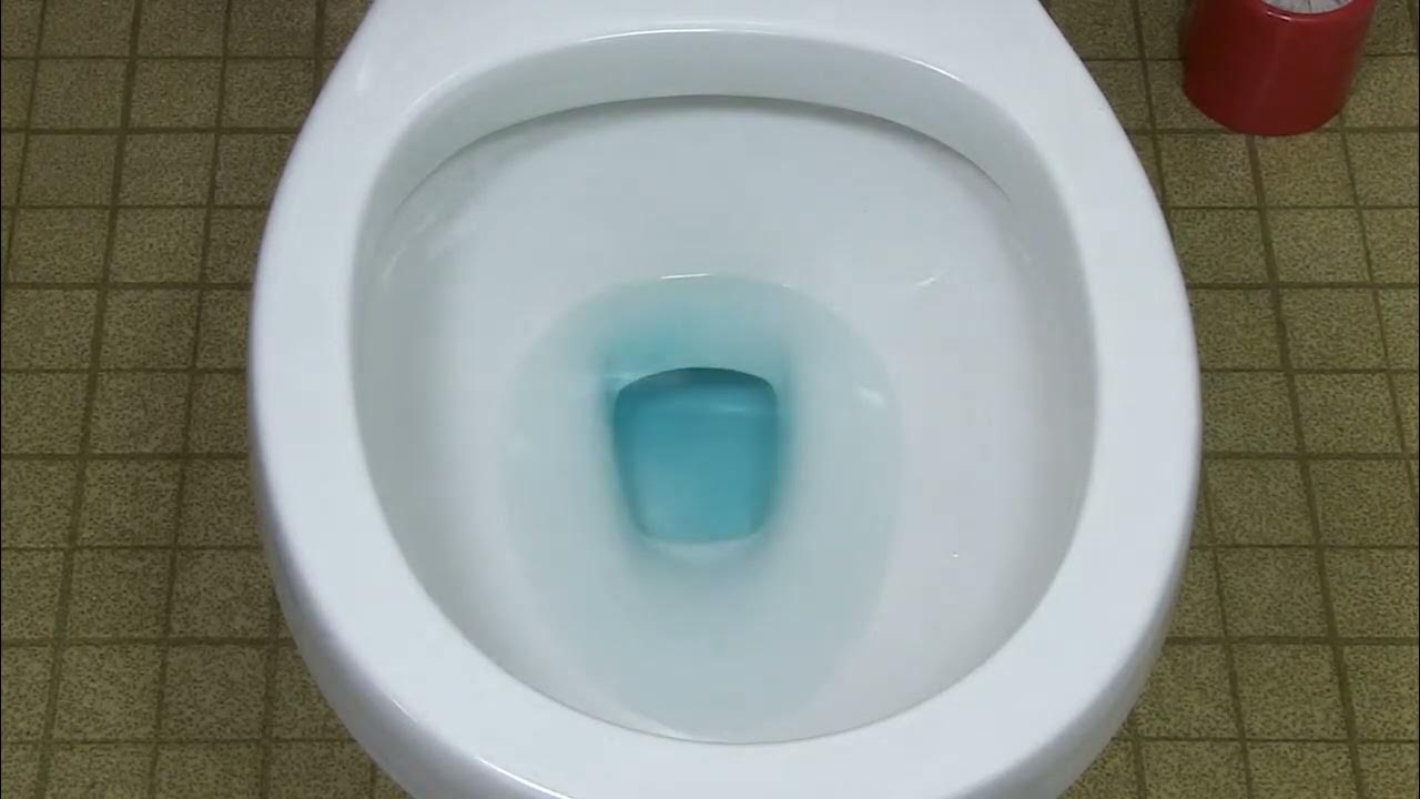 How to Replace a Toilet Flapper YouTube