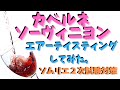 【ソムリエ２次試験対策】カベルネソーヴィニヨンをエアーテイスティングしてみた。