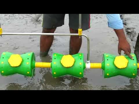 Direct paddy planting