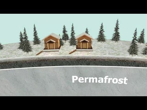 Video: Permafrost Ziyareti