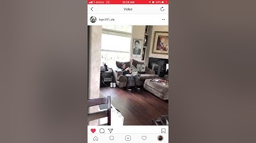 Logic ULTRA 85 Snippets