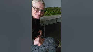 Geluk/Verzachting - hoe we het doen