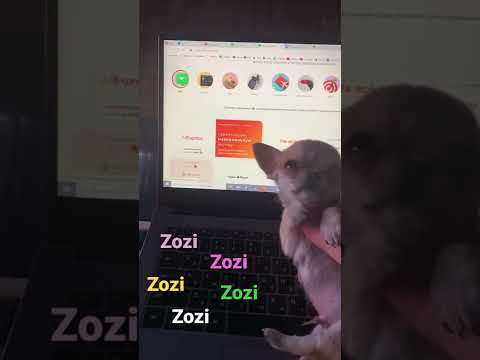 Как войти в