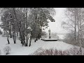 Зима в парке "Ермакова поле"