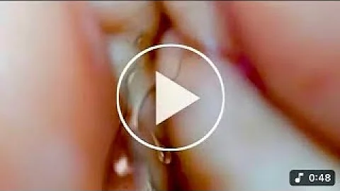 Portrait Video Baimint Nanny Canon Natasha Lyonne