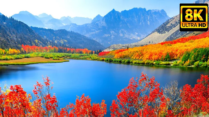 8K ULTRA HD QUALITY VIDEO OF NATURE 🌲 WORLD TRIP 🌍 | NEW BEUTIFUL LOCATION |