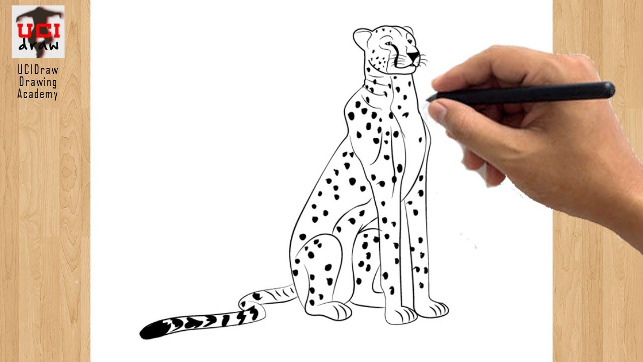 How to Draw Cheetah Easy Drawing | Simple Step by Step Cute Cheetah