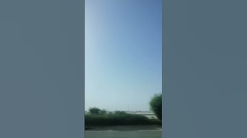 Thumbnail of Loneliness(Live Version) by Putri Ariani