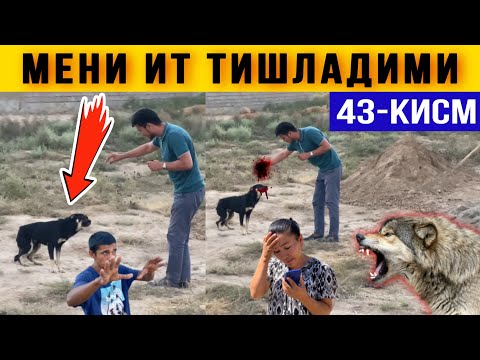 😱 ВОЙДООД. МЕНИ ИТ ТИШЛАДИМИ. 43-Кисм. Чаёнлар Ичидаги Келинчак