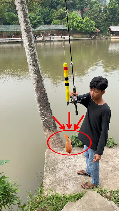 Umpan ikan Nila merah segar !! Target ikan predator ⁉️#mancing #ikan #fishing #fish #shorts #angler