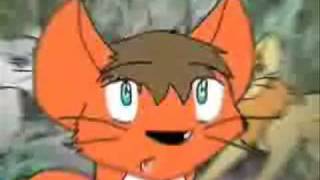 Animash- 12 Pains Of Christmas