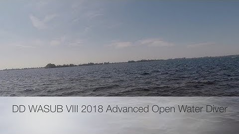 DD WASUB VIII 2018 AOWD