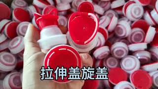 Plastic Tin Spout Cap Assembly Machine