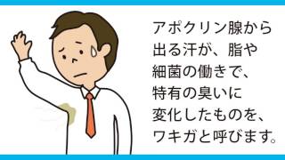 ワキガ？汗が特有の臭いに変化したものが「ワキガ(腋臭症)」