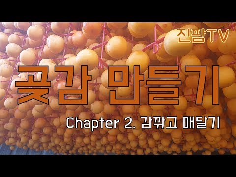 곶감 만들기 Chapter 2. 감 깎고 매달기(기계로 깎아도 많으면 힘들어요)