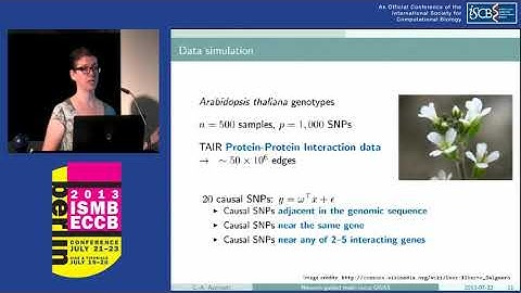 Efficient network-guided multi-locus association mapping... - Chloé-Agathe Azencott - ISMB/ECCB 2013