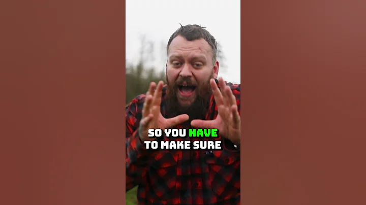 How Do I Stop My Dog Getting Separation Anxiety