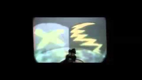 Rat training in the virtual environment